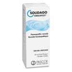 Solidago Similiaplex